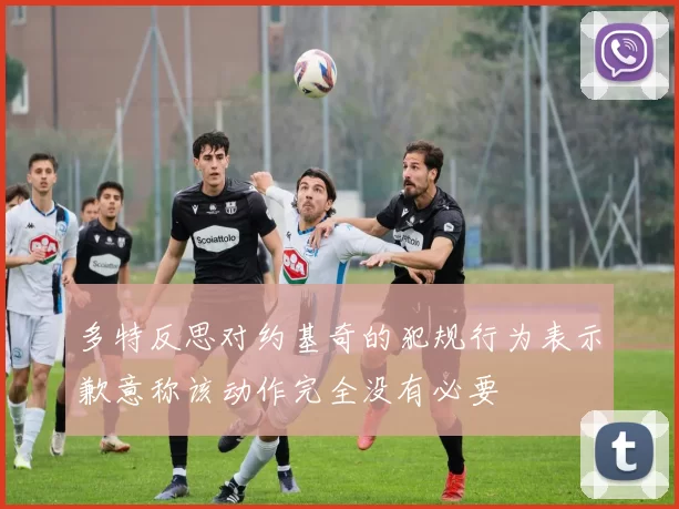 多特反思对约基奇的犯规行为表示歉意称该动作完全没有必要