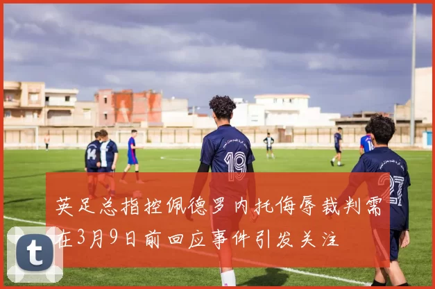 英足总指控佩德罗内托侮辱裁判需在3月9日前回应事件引发关注